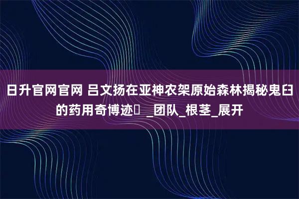 日升官网官网 吕文扬在亚神农架原始森林揭秘鬼臼的药用奇博迹_团队_根茎_展开