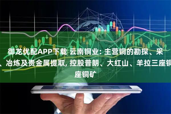 御龙优配APP下载 云南铜业: 主营铜的勘探、采选、冶炼及贵金属提取, 控股普朗、大红山、羊拉三座铜矿