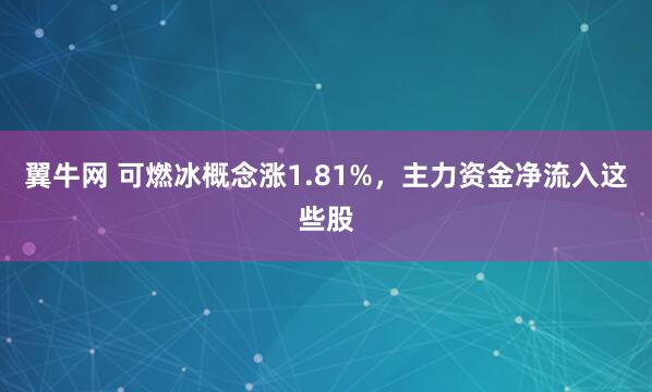 翼牛网 可燃冰概念涨1.81%，主力资金净流入这些股