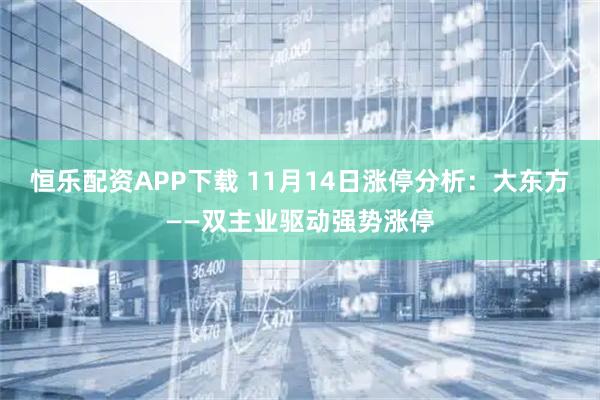 恒乐配资APP下载 11月14日涨停分析:大东方——双主业驱动强势涨停